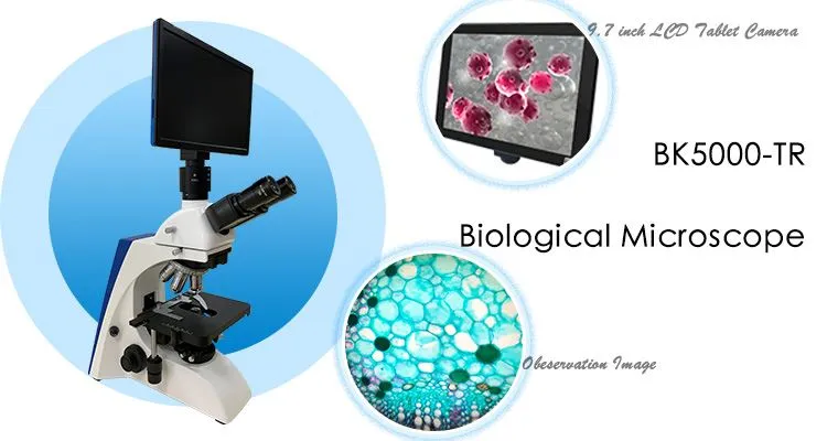 40X-1000X Biological Digital Microscope with LCD Screen for sale