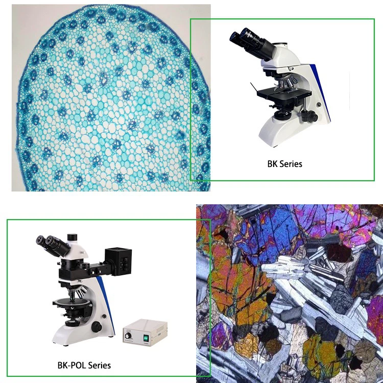 Biological microscope polarizing microscope manuafacturer in China Biological microscope polarizing microscope manuafacturer in China