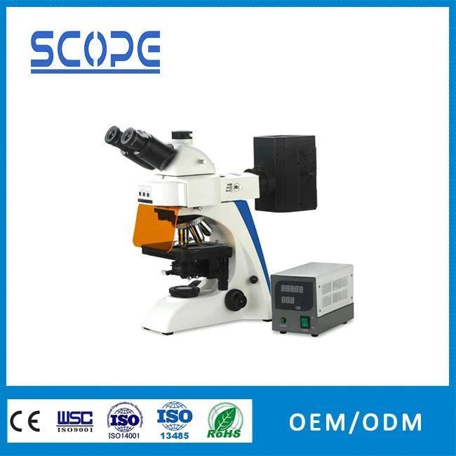 100W mercury lamp trinocular fluorescence microscope for labs
