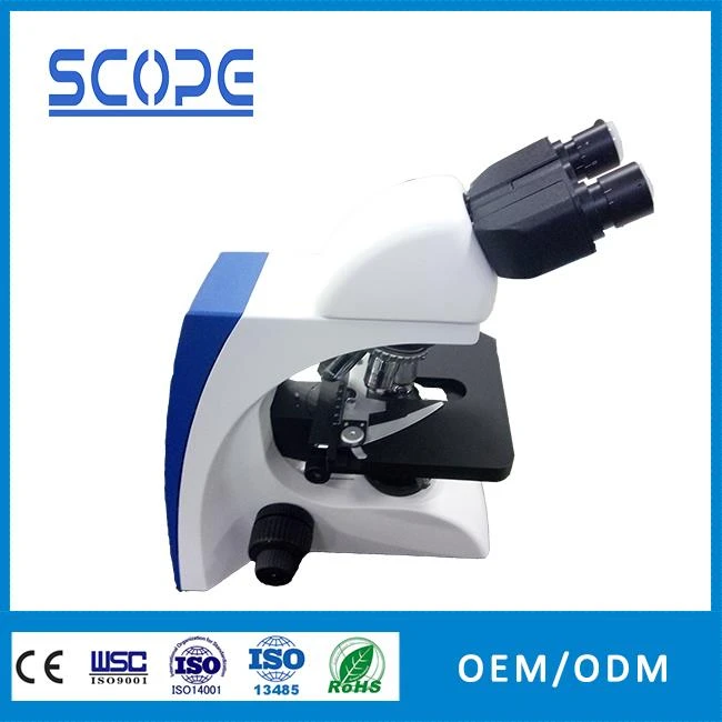 Binocular led light source fluorescence microscope